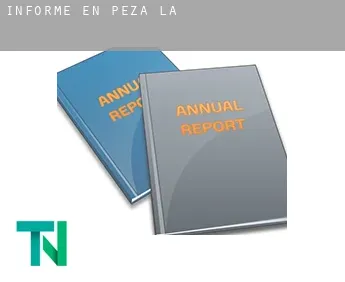 Informe en  Peza (La)