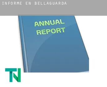 Informe en  Bellaguarda