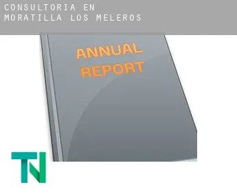 Consultoría en  Moratilla de los Meleros