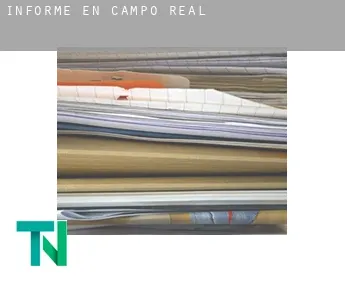 Informe en  Campo Real