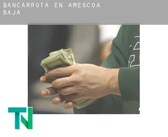 Bancarrota en  Améscoa Baja
