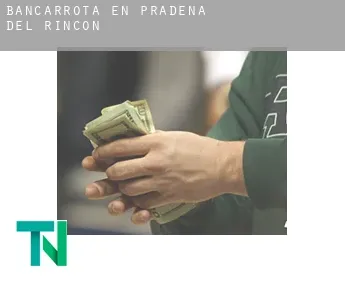 Bancarrota en  Prádena del Rincón