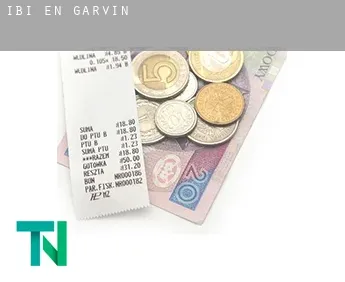 Ibi en  Garvín