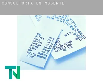 Consultoría en  Mogente