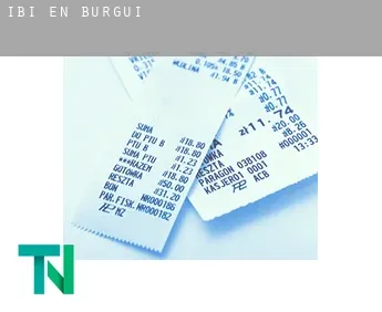 Ibi en  Burgui / Burgi