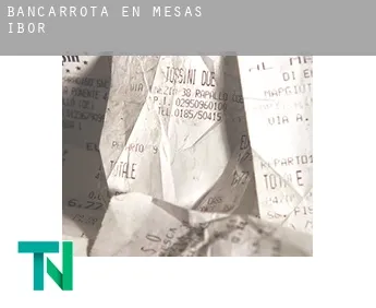 Bancarrota en  Mesas de Ibor