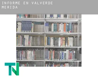 Informe en  Valverde de Mérida