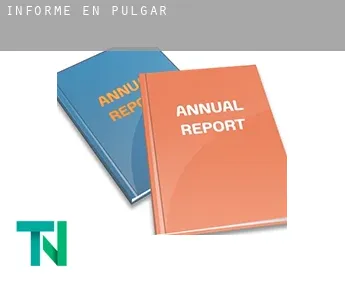 Informe en  Pulgar