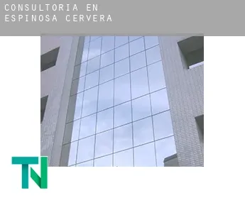 Consultoría en  Espinosa de Cervera