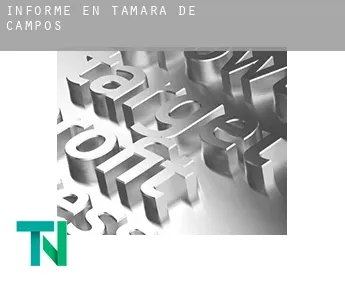 Informe en  Támara de Campos