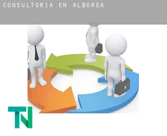 Consultoría en  Alborea