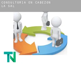 Consultoría en  Cabezón de la Sal