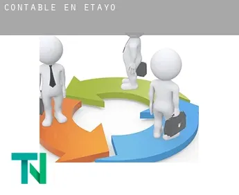 Contable en  Etayo