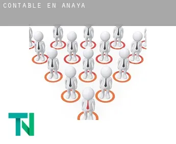 Contable en  Anaya