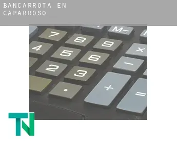 Bancarrota en  Caparroso