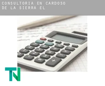 Consultoría en  Cardoso de la Sierra (El)