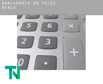 Bancarrota en  Velez Rubio