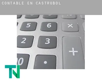 Contable en  Castrobol