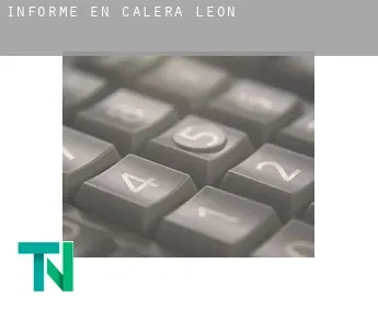 Informe en  Calera de León