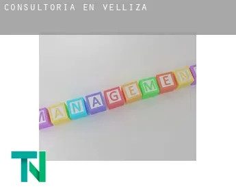 Consultoría en  Velliza