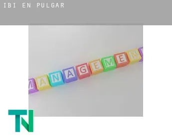 Ibi en  Pulgar