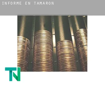 Informe en  Tamarón