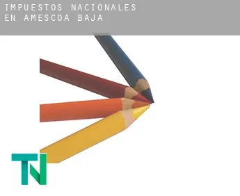 Impuestos nacionales en  Améscoa Baja