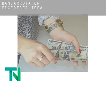 Bancarrota en  Micereces de Tera