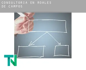 Consultoría en  Roales de Campos