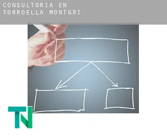 Consultoría en  Torroella de Montgrí