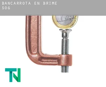 Bancarrota en  Brime de Sog