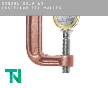 Consultoría en  Castellar del Vallès