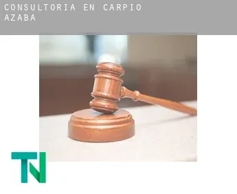 Consultoría en  Carpio de Azaba