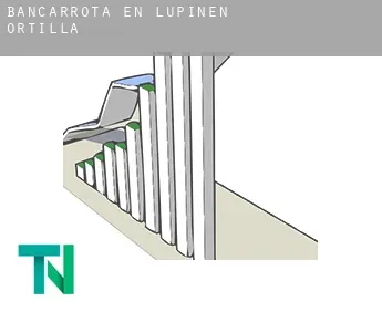 Bancarrota en  Lupiñén-Ortilla