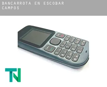 Bancarrota en  Escobar de Campos