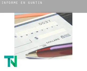 Informe en  Guntín