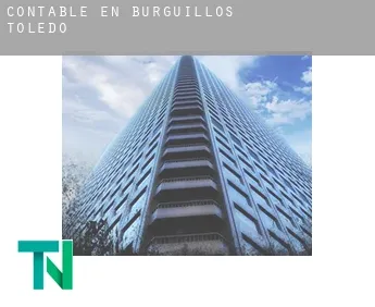 Contable en  Burguillos de Toledo