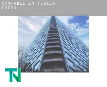 Contable en  Tudela de Duero