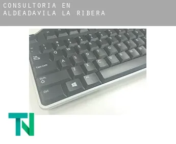 Consultoría en  Aldeadávila de la Ribera