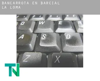 Bancarrota en  Barcial de la Loma