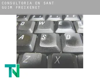 Consultoría en  Sant Guim de Freixenet