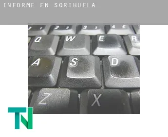 Informe en  Sorihuela