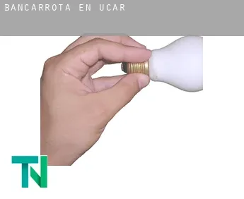 Bancarrota en  Ucar