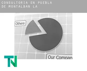 Consultoría en  Puebla de Montalbán (La)