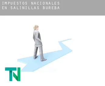 Impuestos nacionales en  Salinillas de Bureba