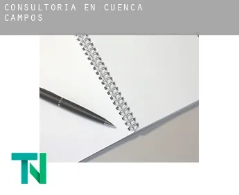 Consultoría en  Cuenca de Campos