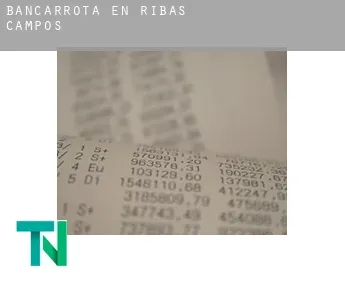 Bancarrota en  Ribas de Campos