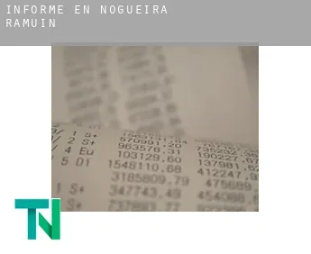 Informe en  Nogueira de Ramuín