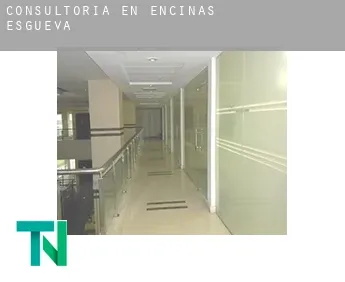 Consultoría en  Encinas de Esgueva