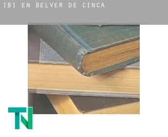 Ibi en  Belver de Cinca